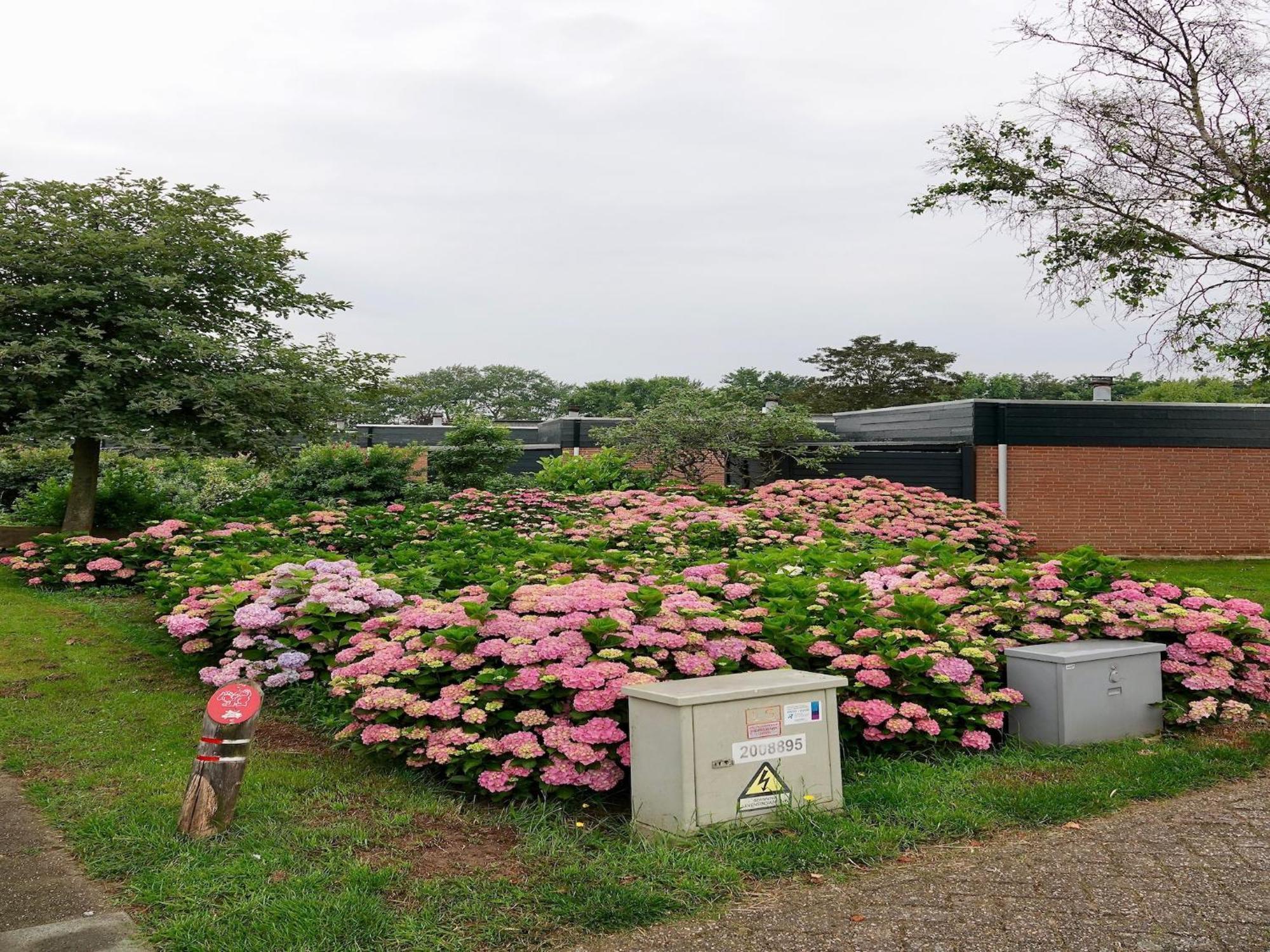 Comfortable Holiday Home In Noordwijkerhout Near The Sea 外观 照片