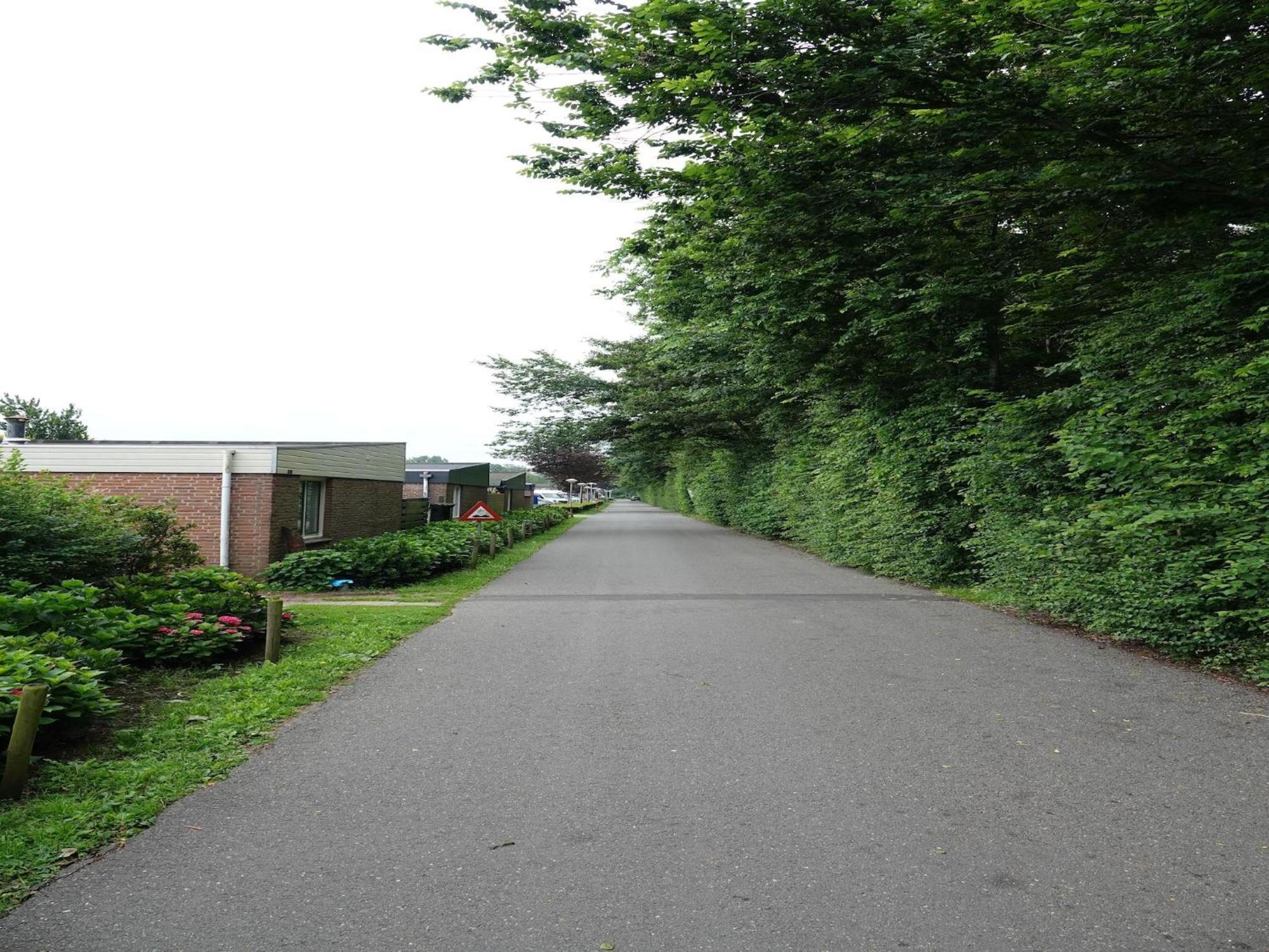 Comfortable Holiday Home In Noordwijkerhout Near The Sea 外观 照片